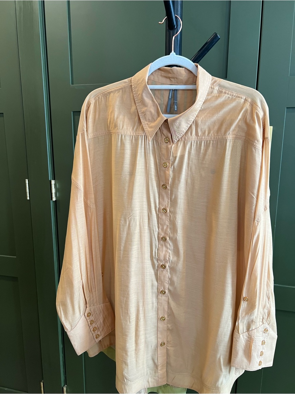 Anthropology Sheet Button-Down Shirt in Light Gold
